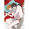 Hard Gay Action 41