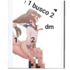 chats 14