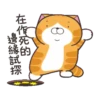 白爛貓☆金促咪☆係金A貼圖 9