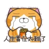 白爛貓☆金促咪☆係金A貼圖 13