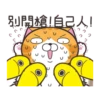 白爛貓☆金促咪☆係金A貼圖 20