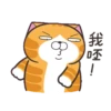 白爛貓☆金促咪☆係金A貼圖 21
