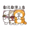 白爛貓☆金促咪☆係金A貼圖 23