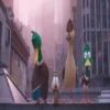 Migration 🦆💕1.1 Mov 6