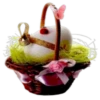 Pascua del conejo 1 7