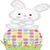 Pascua del conejo 1 8