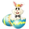 Conejo de pascua con huevos 6