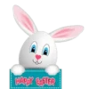 Conejo de pascua con huevos 8
