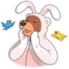 Disfrazado de conejo de pascua 9
