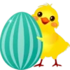 Pascua del conejo 15