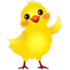 Pascua del conejo 19