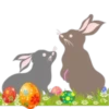 Pascua del conejo 20