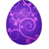 Pascua del conejo 30