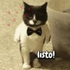 Gatos memes random🐈⬛🐱 9