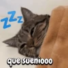 Gatos memes random🐈⬛🐱 14