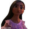 Disney Encanto 21