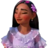 Disney Encanto 27