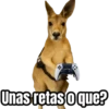🦘Memes canguro 🦘😂 8