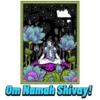 Shivratri 9