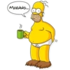 Homer Simpson 🍩 27