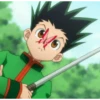 hunter x Hunter 23