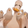 Migration 🦆💕 7